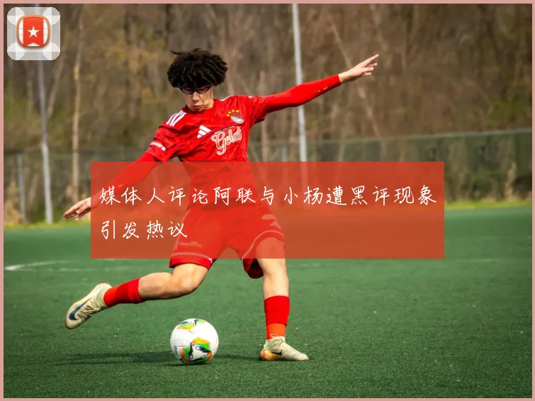 媒体人评论阿联与小杨遭黑评现象引发热议