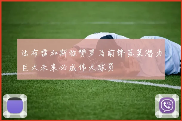 法布雷加斯称赞罗马前锋苏莱潜力巨大未来必成伟大球员