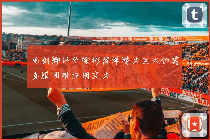 毛剑卿评价徐彬留洋潜力巨大但需克服困难证明实力