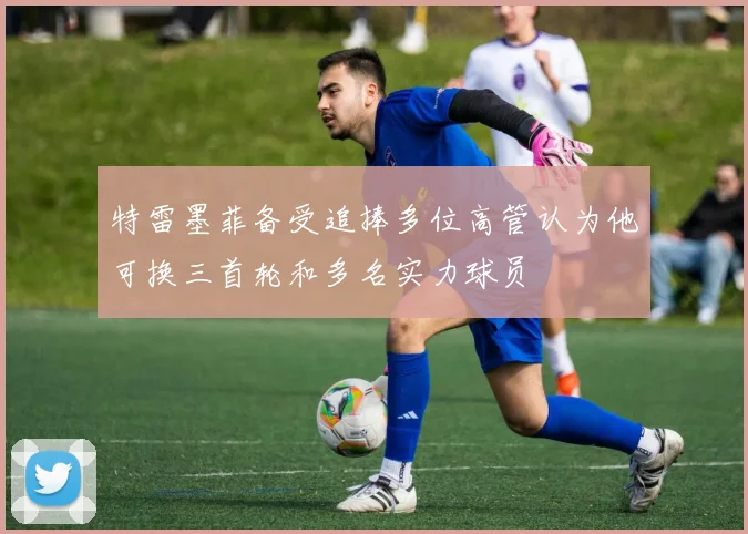 特雷墨菲备受追捧多位高管认为他可换三首轮和多名实力球员