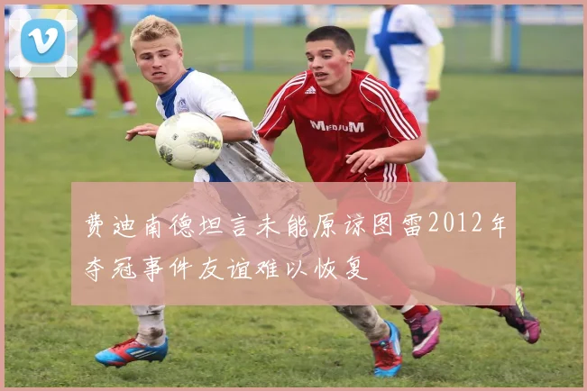 费迪南德坦言未能原谅图雷2012年夺冠事件友谊难以恢复