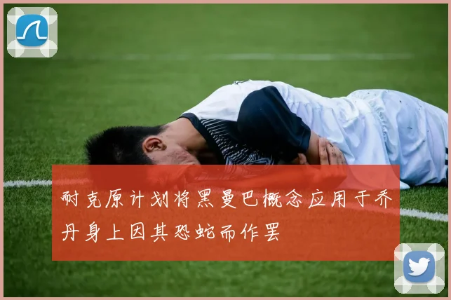 耐克原计划将黑曼巴概念应用于乔丹身上因其恐蛇而作罢