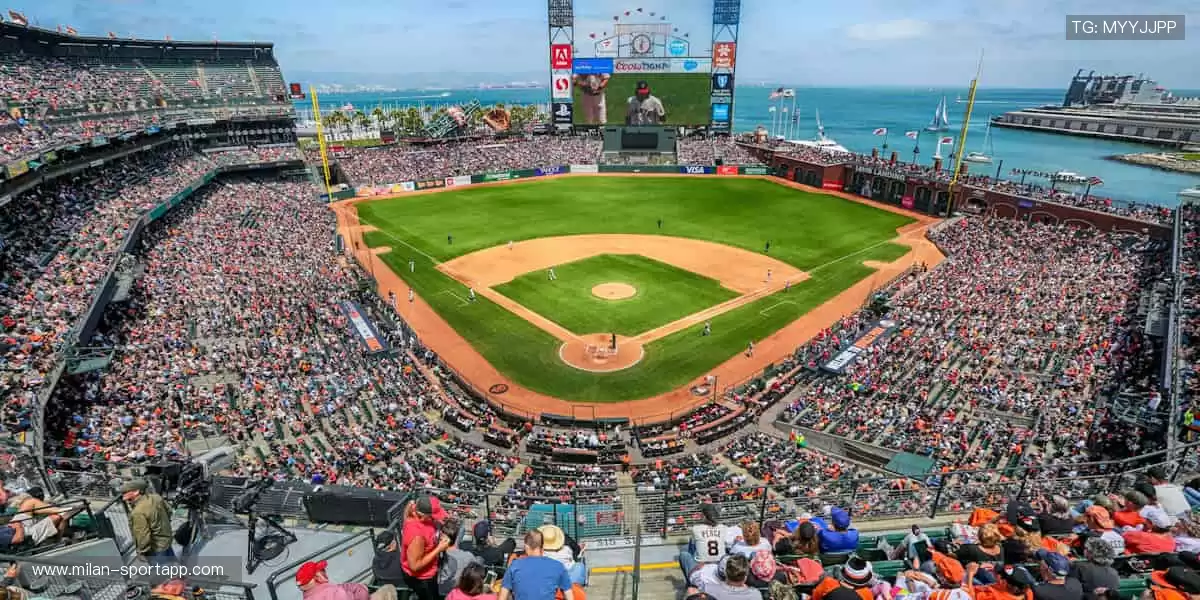 ⚽ 球迷的专属装备库，你的热爱值得拥有！🎁